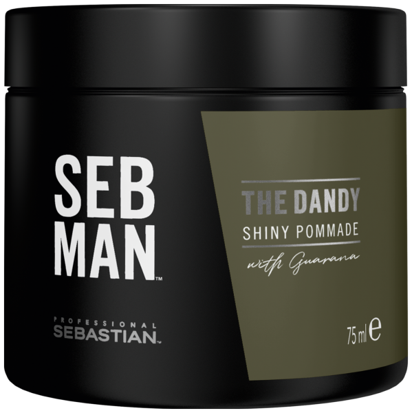 SEB MAN - The Dandy shiny pomade